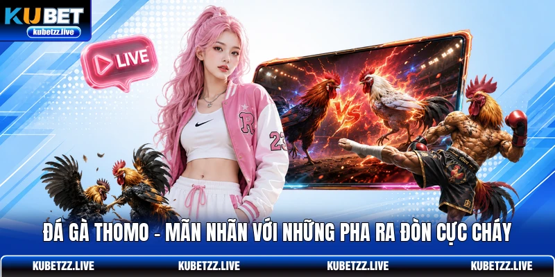 Đá Gà Thomo - Mãn Nhãn Với Những Pha Ra Đòn Cực Cháy