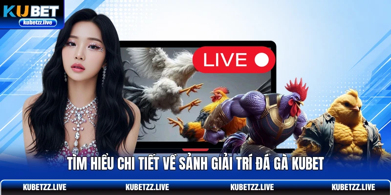 Tìm hiểu chi tiết về sảnh giải trí đá gà KUBET Tìm hiểu chi tiết về sảnh giải trí đá gà KUBET